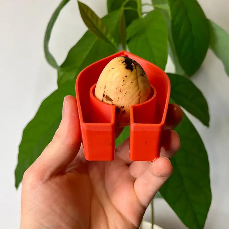 Colorful Avocado Boat-Shaped Floating Hydroponic Flower Pots Avocado Tree Growing Kit Hydroponic Seed Starter Without Seeds