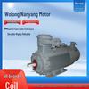 Wolong YBBP Series Explosion-Proof Variable Frequency Asynchronous Motor