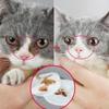 Pet Wipes Dog Cat Eye Ear Cleaning Wipes Tear Stains Removal Care Deodorization Clean Pads Gentle Non Irritating Pet Products