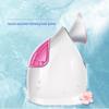 Jindao Nano Hot Mist Facial Steamer