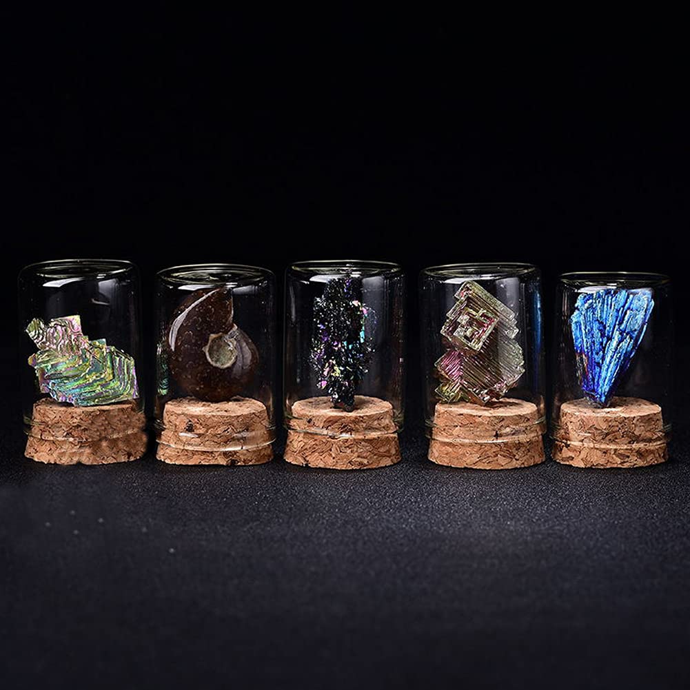 HIGHAWK Rock Specimen Natural Stone Glass Cover Ore Dustproof Figurine Ornament Display Specimen Box Table Collection Geological Science Decoration
