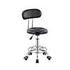 Adjustable Swivel Salon & Bar Stool with Backrest and Casters