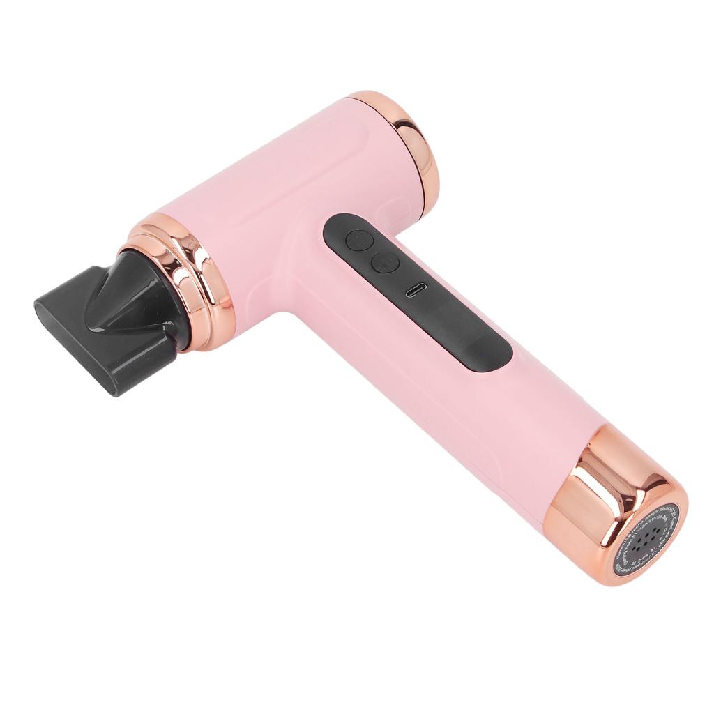 Hair Blow Dryer Wet and Dry Use 200W Powerful Hair Dryer Portable Multifunctional Pet Blow Dryer for Travel