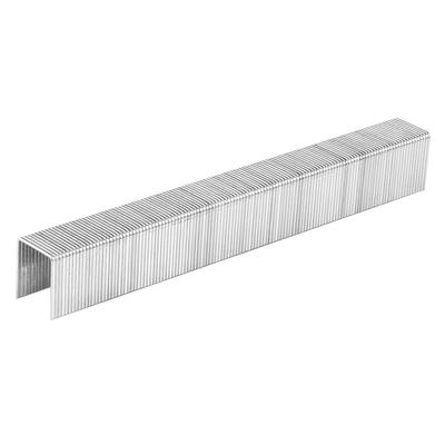 Galvanized Staples for Pneumatic Stapler (14-572), GA21, Type 80 (380), Length 16 Mm, 4000