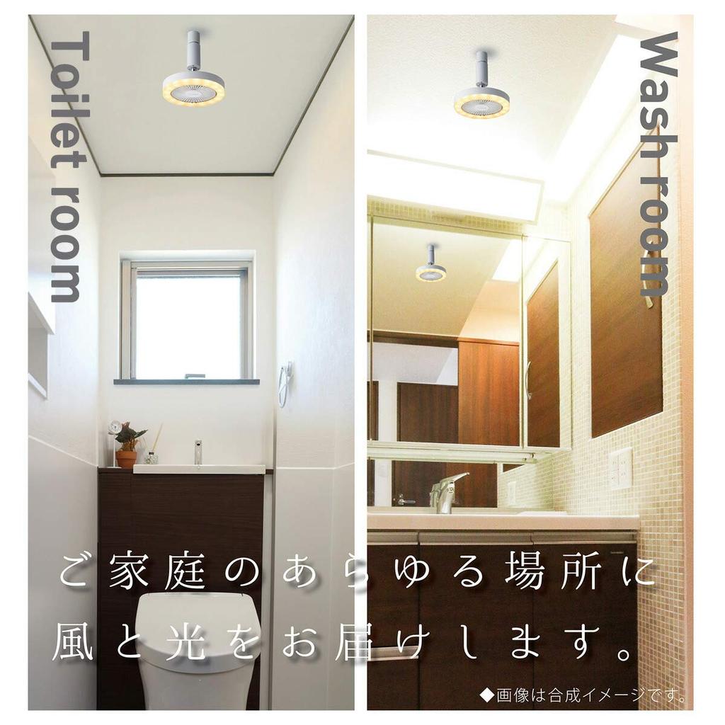 Doshisha [Old Model] Socket Light