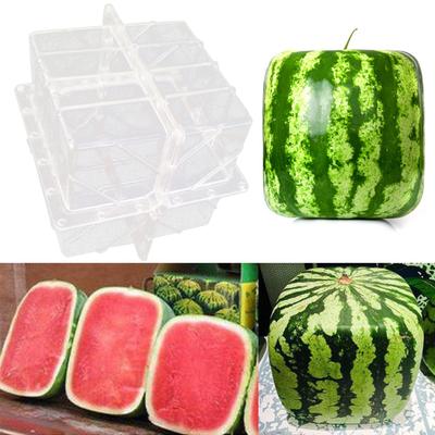 Square Shape Watermelon Calabash Shaping Mold Fruit Growth Ming Mould Tool