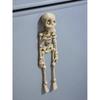 3D Skeleton Refrigerator Magnets Poseable Movable Joints Skull Fridge Magnets Funny Refrigerator Magnets Sticker Office Decor