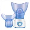 Aromatherapy Facial & Eye Steamer: Hydrating Steam Spray Device