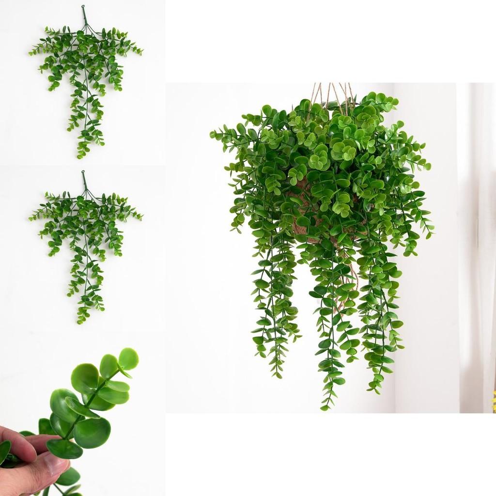 Artificial Plant Wall Hanging With 25 Eucalyptus Citriodora Leaves For Home Decor And Photography Props
