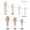 12-inch and 10-inch Jointed Wooden Mannequin Doll for Art and Painting