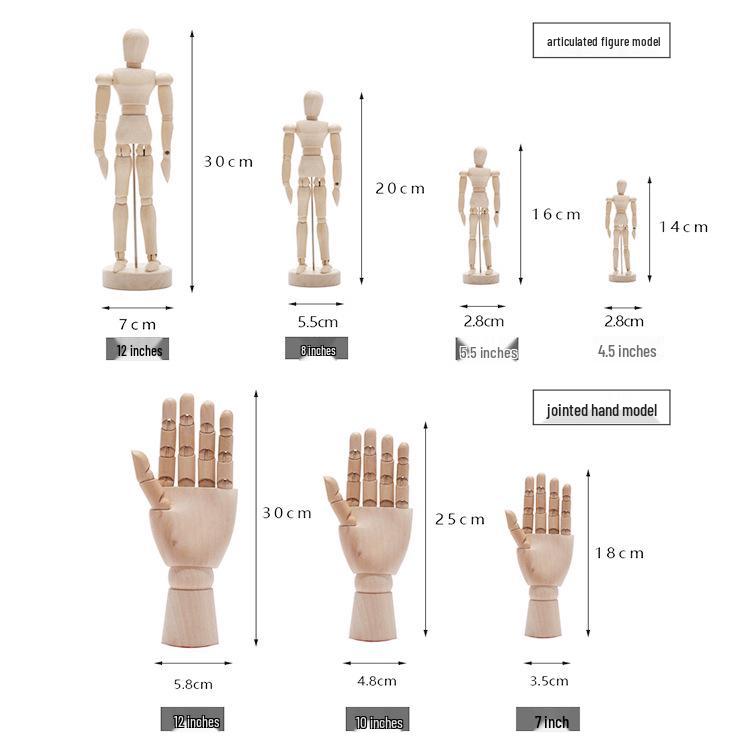 12-inch and 10-inch Jointed Wooden Mannequin Doll for Art and Painting