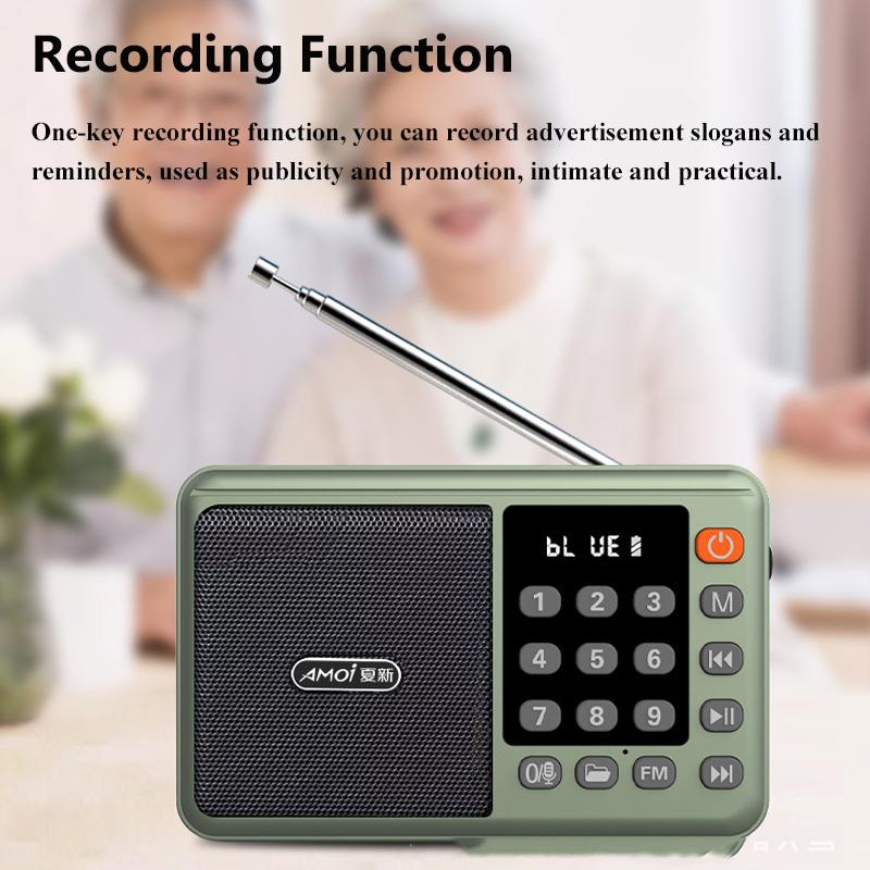 Mini Tragbares FM Radio LED Display Digitale Radios Empfänger Kabelloser Bluetooth Lautsprecher USB TF-Karte Musikplayer Unterstützung Aufnahme
