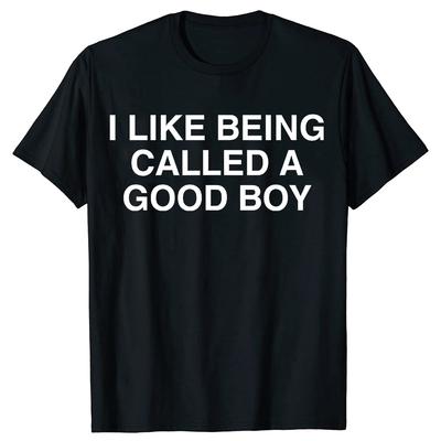 Haină amuzantă I Like Being Called A Good Boy Sarcastică Meme Glumă Tricouri Bărbați Bumbac Streetwear Tricou Mânecă Scurtă Unisex Haine Largi