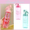 Durable And Temperature-resistant Mist Spray Water Bottle