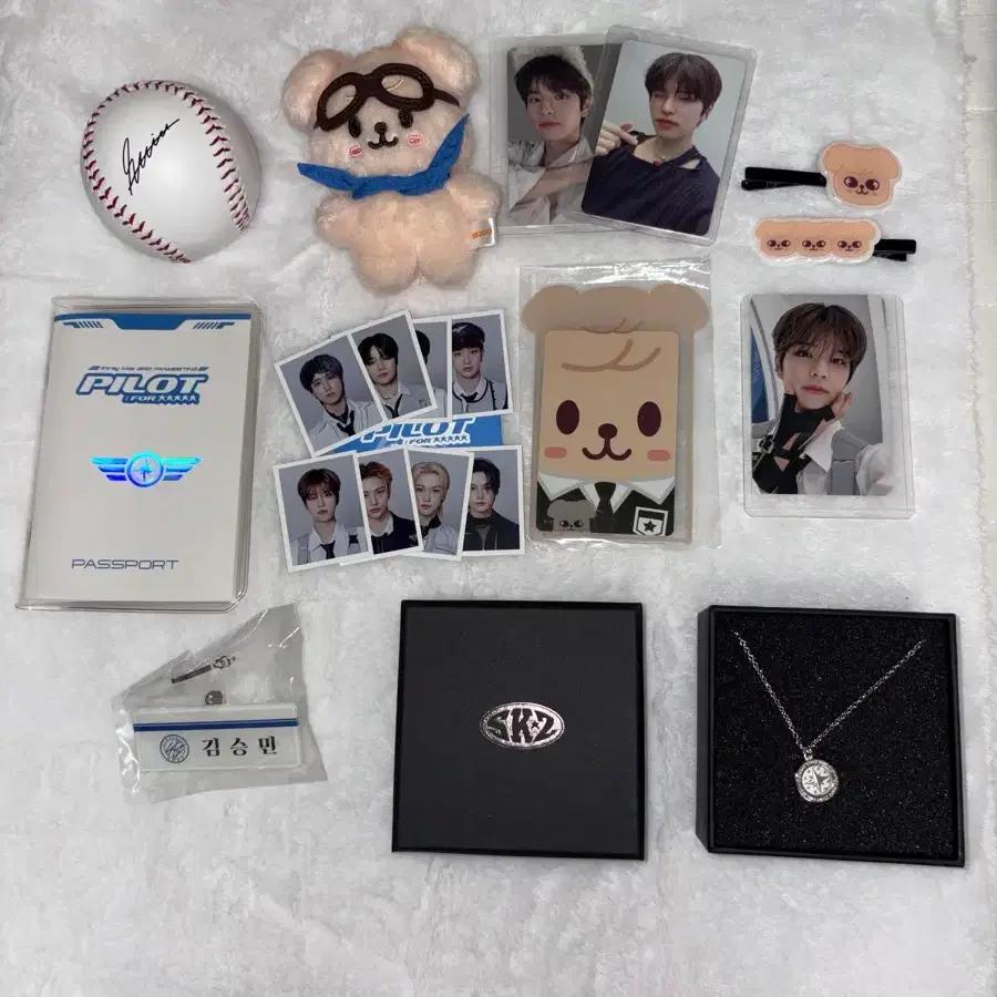 STRAY KIDS, Skids Pilot, Seungmin, Papem, Necklace, Certificate, Poka, Hairpin, Poka Holder, Passport, Name Tag