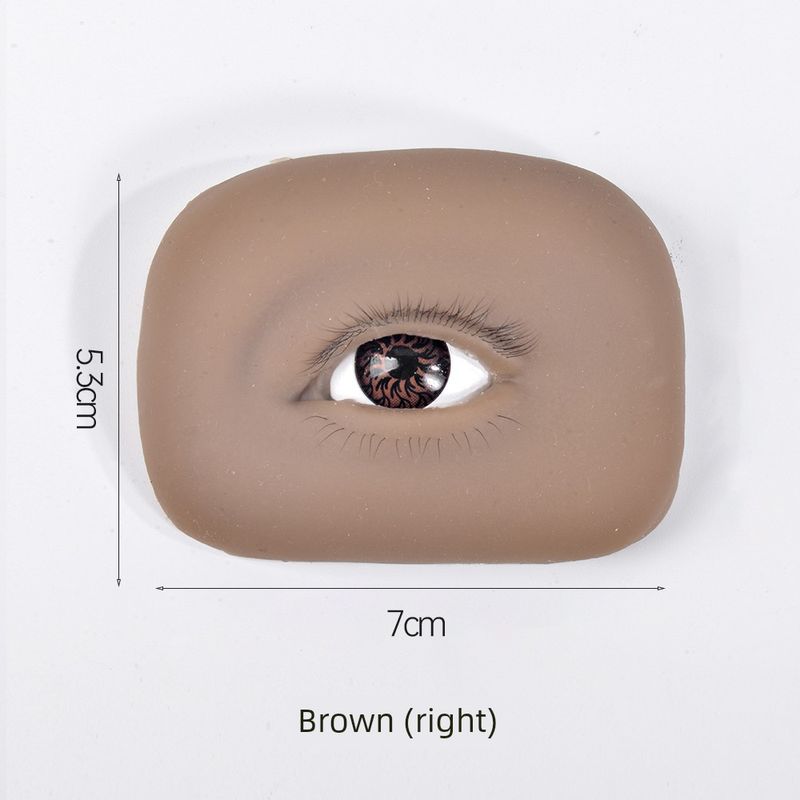 Eyelash Practice Module, a Specialized Simulation Practice Tool for Beginner Eyelash Technicians, Including Eyelash and Eyebrow Tattoo Practice Film