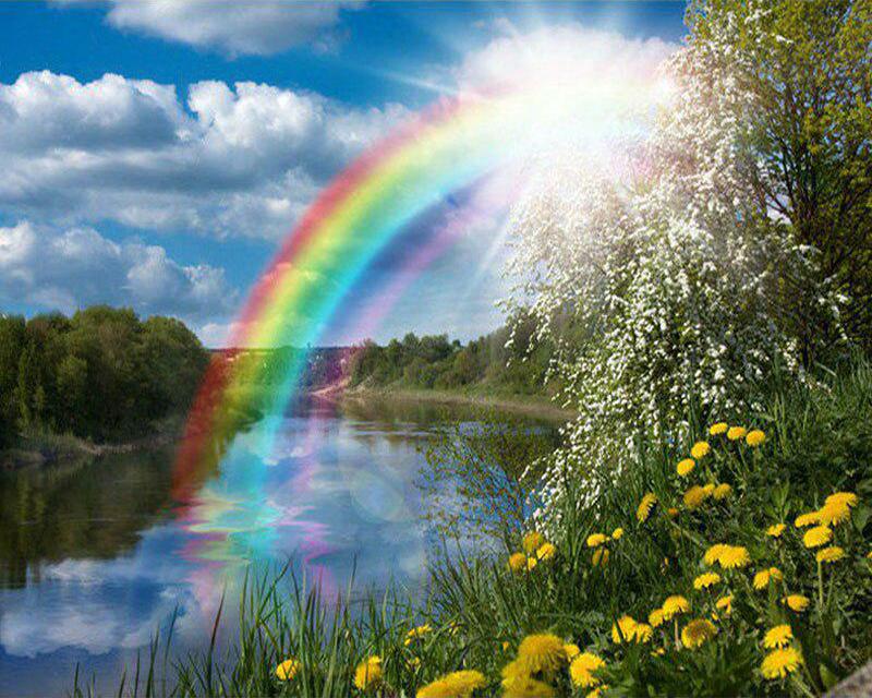 

5D алмазная живопись весенний пейзаж цветок радуга картины из стразов Алмазная вышивка крестиком кошка животное мозаика домашний декор Full Round 20X30CM фиолетовый