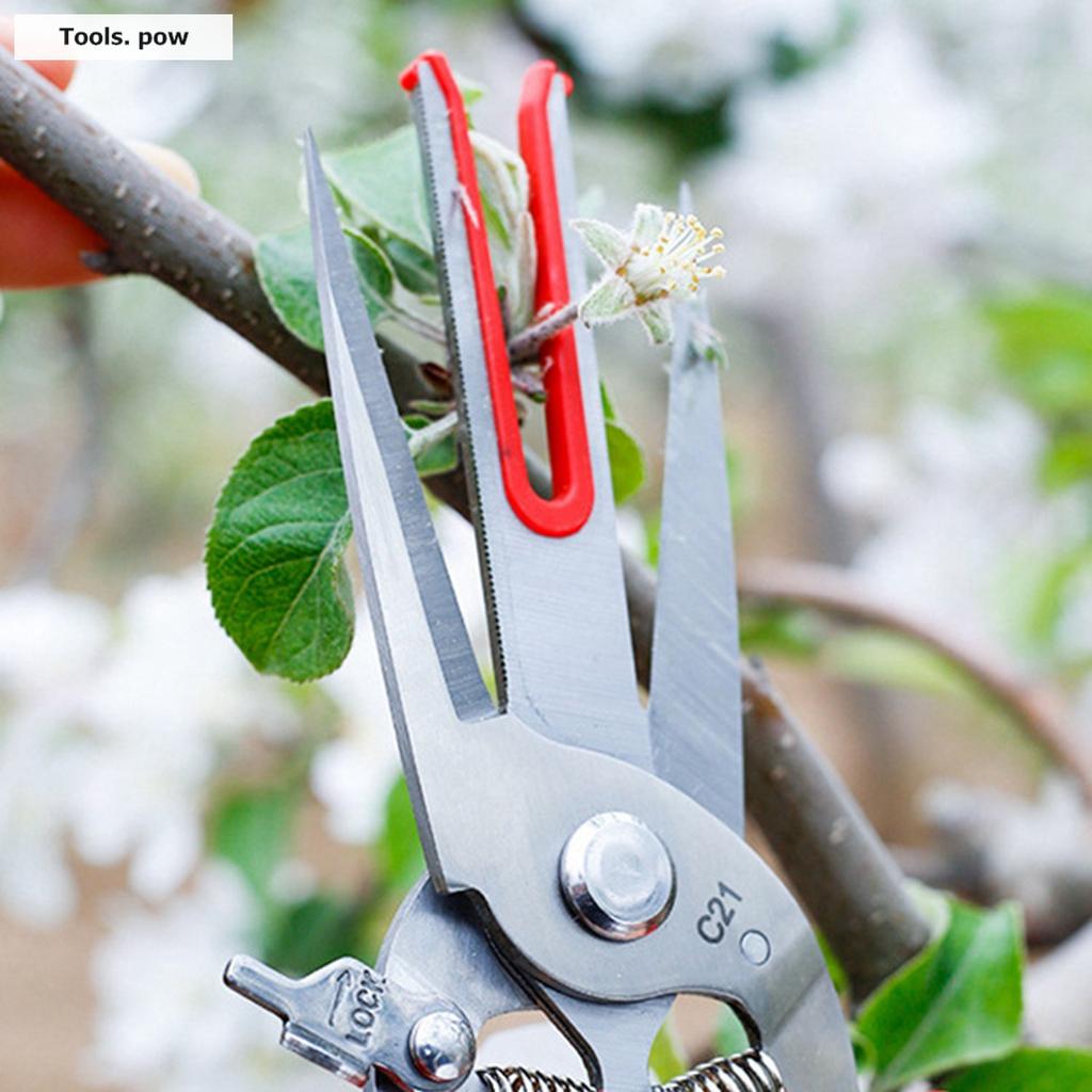 Fruit Picking Scissors Garden Double-edged Apple Picking Scissors Kiwi Pear Thinning Scissors Double Mouth Thinn Shear Hand Tool