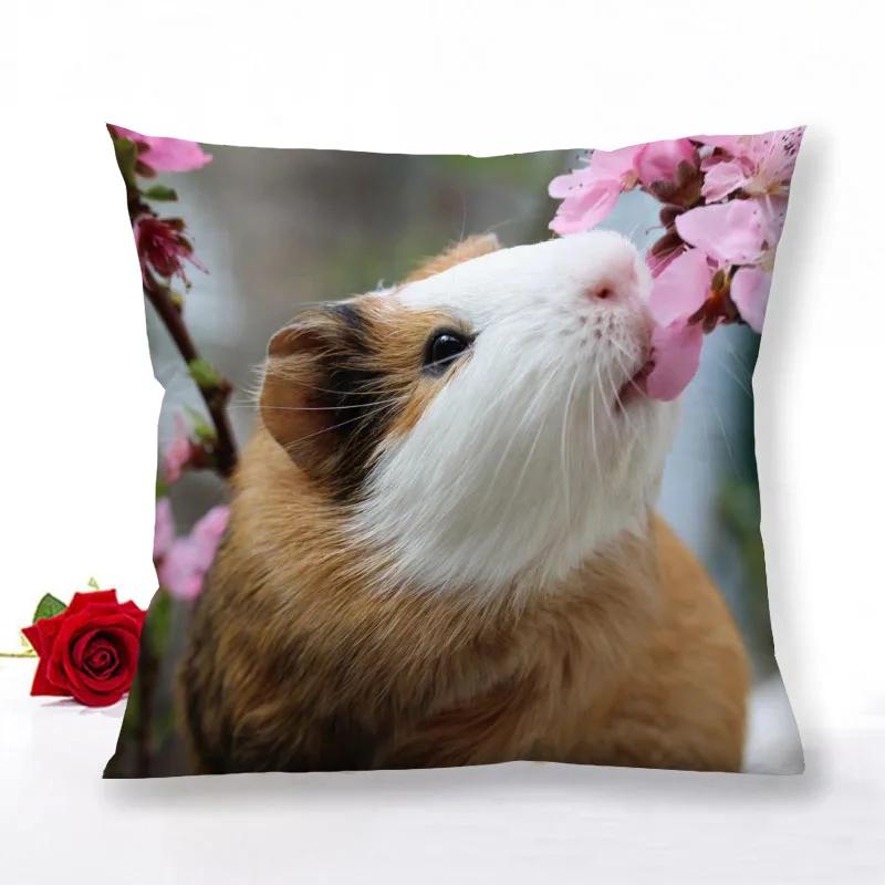 Guinea Pig Zipper Pillowcase Home Decor Satin Square  Bedroom