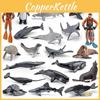 Lifelike Pvc Orca Devil Fish Sea Lion Penguin Dolphin Ocean Animal Diver Model Collection