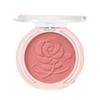 Sunshine Warm Cheek Blusher Swatch 28 Chemistry Is Amazing
