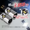 SEEK Products T16 LED Backup Vehicle Inspection Chrome Plated Stealth Super Bright Wedge CSP1860 Lamp, MVT, Compliant, Body, Fan, Model, White/White