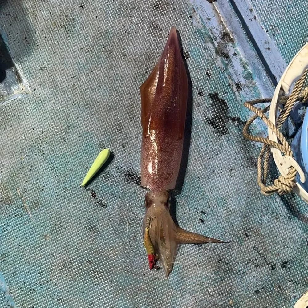 VANGUARD JAPAN iZumo Death Fall Green 2.5 #OGH (Orange Head)