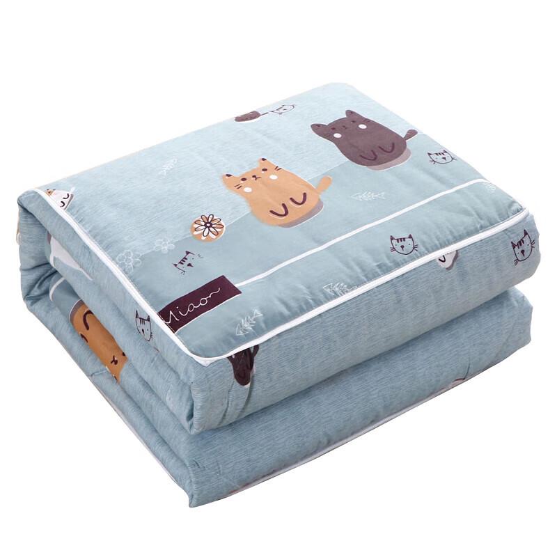 Faunen FN-R723 Cat Print Decorative Pillow Quilt