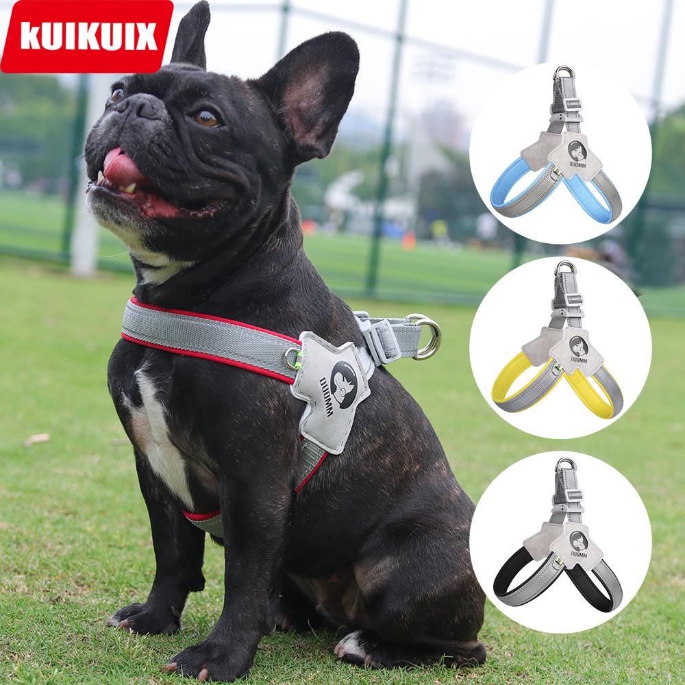 Adjustable Vest Dog Harness and Leash Set for Small to Medium Breeds - Corgi, Shiba Inu, French Bulldog