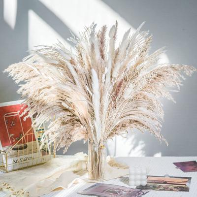 44cm Dreid Flowers Pampas Grass Decor Fluffy Pompas Grass Filler White Pampas Wedding Boho Deocr Flowers Home Table Decor Rustic Farmhouse