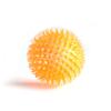 Dog Toys Squeaky Ball Interactive TPR Chewing Toy for Dogs Dental Cleaning Thorn Balls Supplies for Small Medium Large Dogs