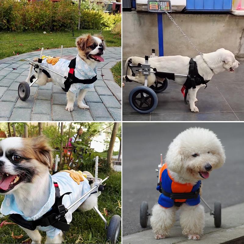 Small Dog Wheelchair for Hind Limb Paralysis Rehabilitation Cart Puppies Disabled Cats Teddy Leg Bracket for Walking Support