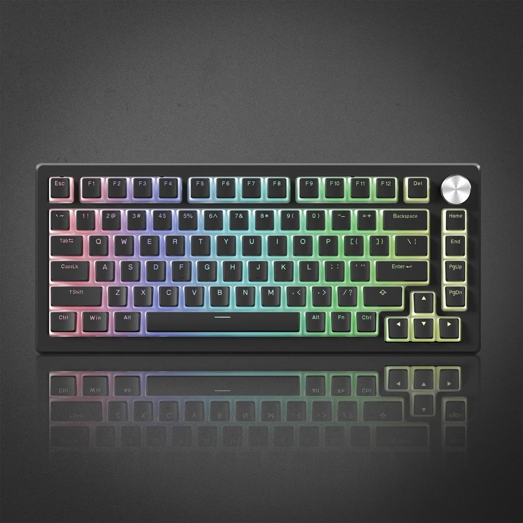 Womier 129-Key PBT Keycap Set, OEM Profile, Transparent, Universal Type (Black)