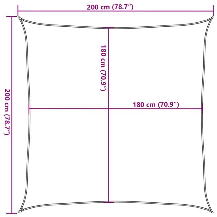 VidaXLVoile d'Ombrage PEHD Carré 2x2 m Anthracite Voile Parasol Pare-soleil 43011
