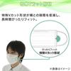 IRIS OHYAMA Nonwoven Pleated 120 Large Regular Comfortable Smart Basic Masks, Count, Capacity, Size, 16.5cm Wide, Ears, White,