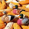 Wooden Handcrafted Duck Figurine For Home Office And Garden Decor