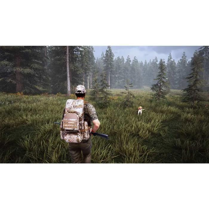 Simulation - hunting simulator 2 - ps4 - en boîte - chasse réaliste en montagne, désert et forêt