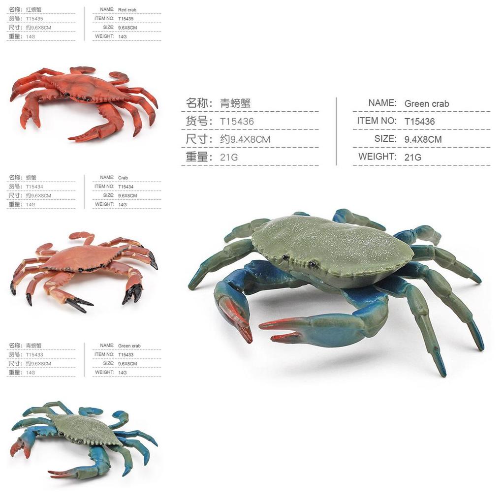 Realistic Plastic Crab Model Collection Vibrant Colors For Home Decor Educational Display