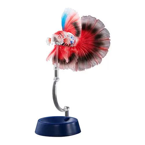 

Japanese Genuine Gacha Scale Model Biological Cognitive Model Simulation Animal Tropical Fish Action Figure Toys