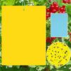 20pcs Sticky Insect Trap Sheets for Pest Control Effective Adhesive Fly Catcher Board for Indoor Outdoor Use Garden Greenhouse Farming