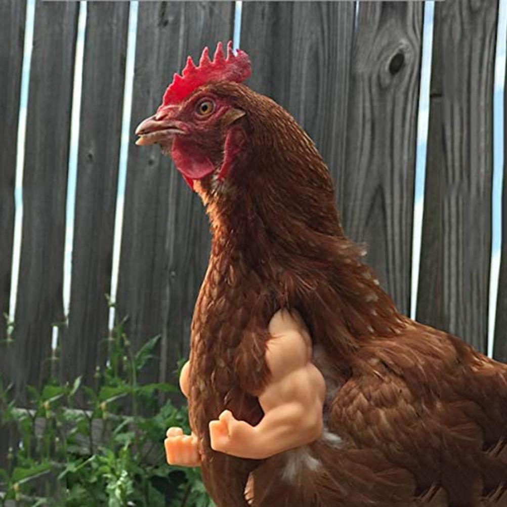 Pet Decoration Chicken Arms Funny Decoration Funny Decorative Toys for Poultry