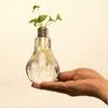 Home Decor Wedding Decoration Light Bulb Shaped Transparent Glass Vase Fashion Hydroponic Flower Vase Gift Home Desktop Ornament