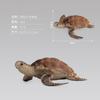 Simulation Animal Model Toy Turtle Doll Ornament Collection Static Animal Boutique Gift Gift