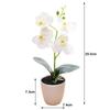 Sztuczna Orchidea Pomarańczowo-czerwona Róża Biała Biała Plus Róża