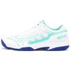 Gate Sky Plus 2 Non-Slip Wear-Resistant Low-Top Badminton Shoes Unisex Shoes White Blue 71GA224025