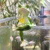 Frog Garden Statue Planter Hugger Drinking Frog Flower Pot Edge