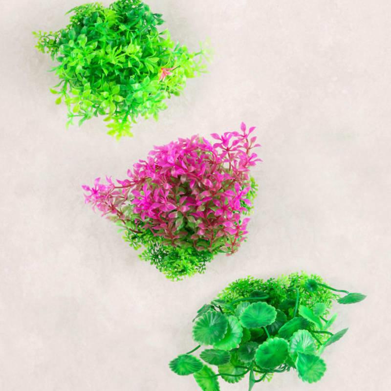 [Domácí mazlíčci] Vodní rostliny do akvária M