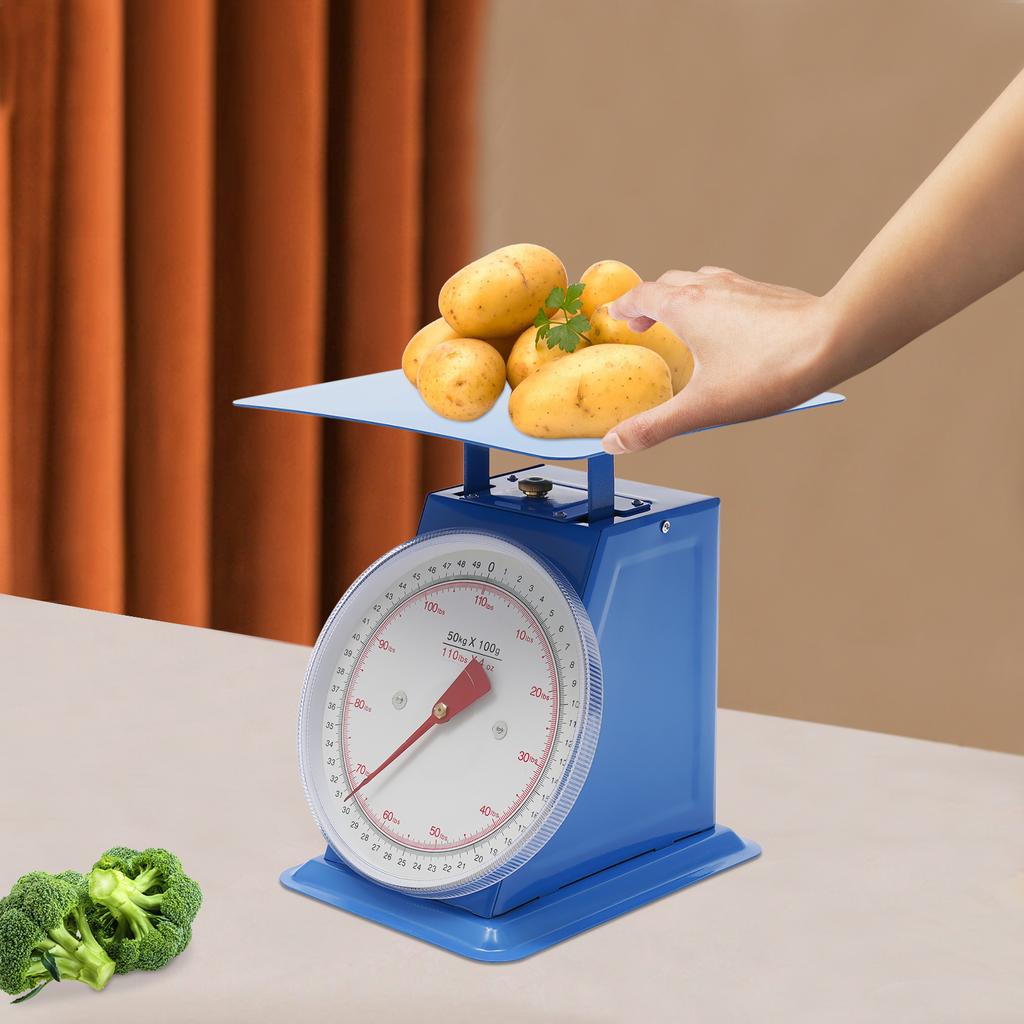 Mechanische Küchenwaage (0,1 kg/0,22 lb) – Präzise Portionswaage mit Plattform, industrielle Messskala zum Kochen
