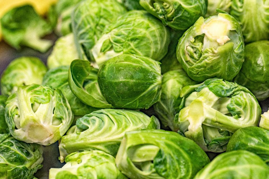 SAFLAX Garden In the Bag - Organic - Brussels Sprout - Groninger - 30 Seeds - With Substrate In a Fitting Stand Up Bag - Brassica Oleracea