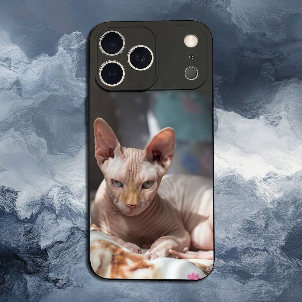 Pet Sphynx Sphinx Cat  Case For iPhone 11,12,15,14,13,16,17,Plus,Pro Max,XS,X,XR,SE,Mini,8,7,Soft Silicone Black